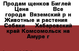 Продам щенков Биглей › Цена ­ 15 000 - Все города, Вяземский р-н Животные и растения » Собаки   . Хабаровский край,Комсомольск-на-Амуре г.